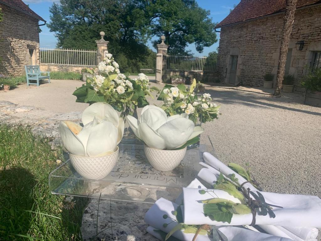 Manoir De Malagorse Cuzance Exterior foto